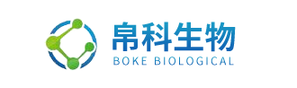 上海帛科生物技術有限公司